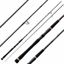 Shop Online Daiwa Seabass Hunter X Spinning Rod - Marine Hub